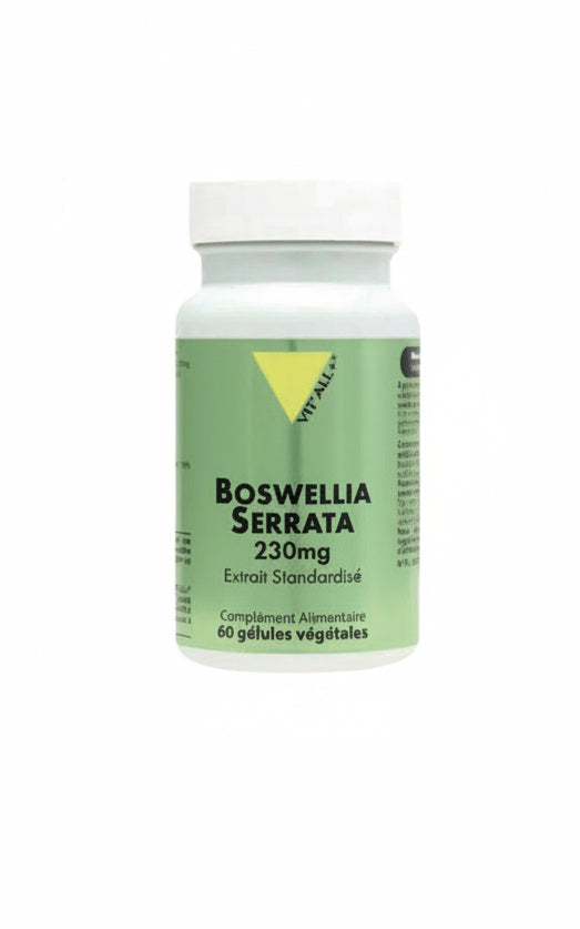 BOSWELLIA SERRATA
