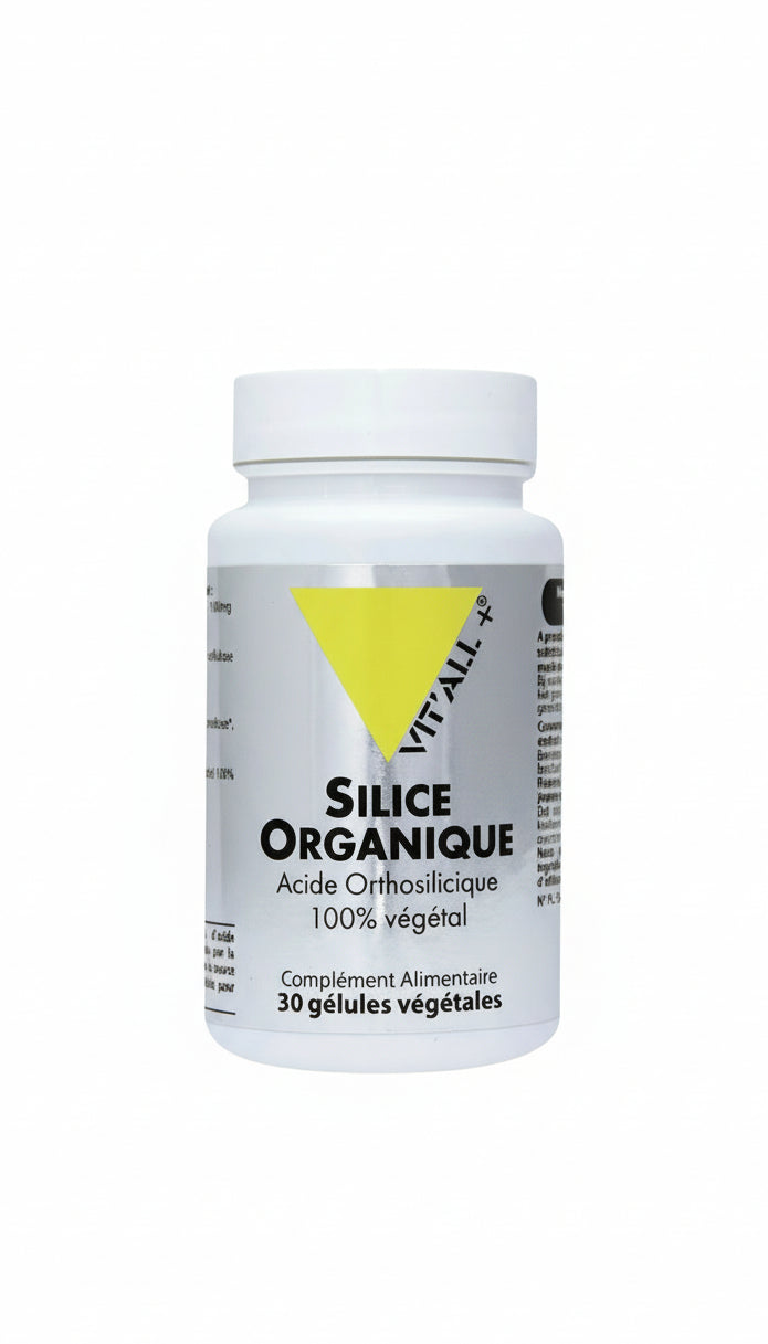 SILICE ORGANIQUE