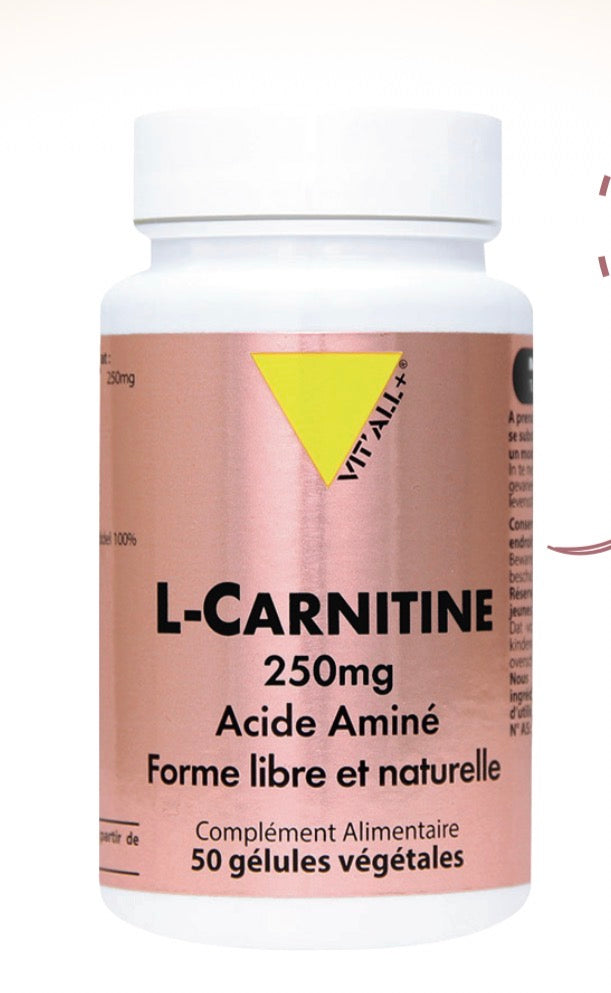 L-CARNITINE