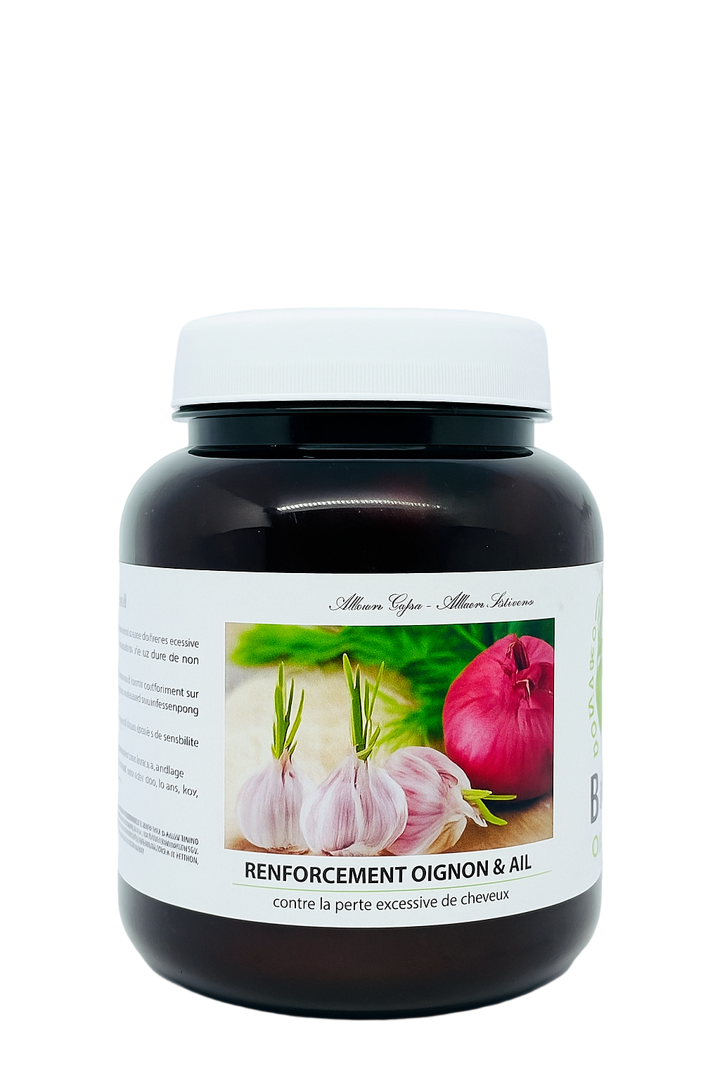 RENFORCEMENT OIGNON & AIL