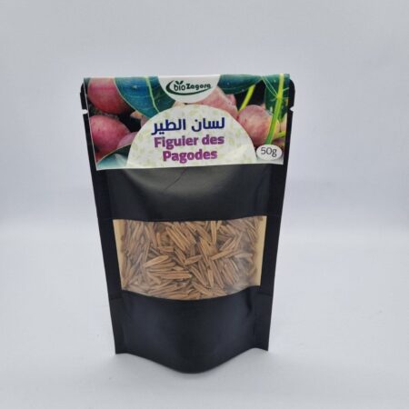 Figuier des pagodes - لسان الطير