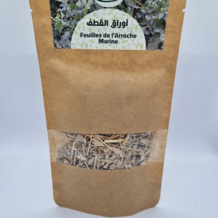 Feuilles de l'arrouche marine - اوراق القطف