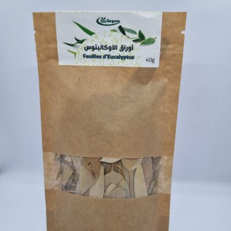 Feuilles d'eucalyptus - اوراق الاوكالبتوس