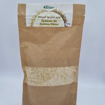 Quinoa blanc - بذور الكينوا البيضاء