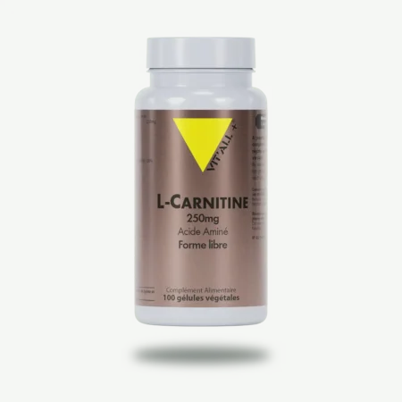 L-Carnitine 50 Gélules